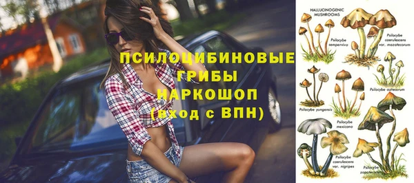 дмт Армянск