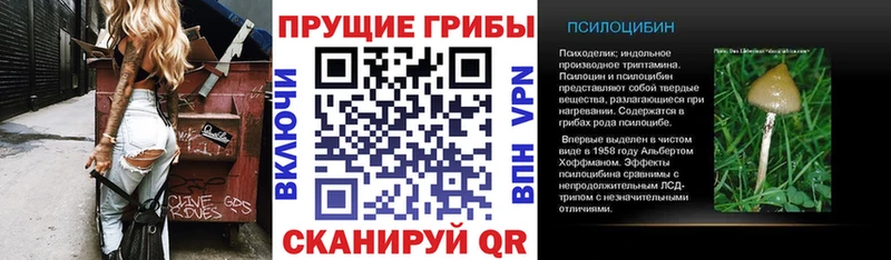 где можно купить   Серов  Псилоцибиновые грибы MAGIC MUSHROOMS 